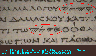 BK 3FEAT: ZECH GK W/PHEB, W/COMM %