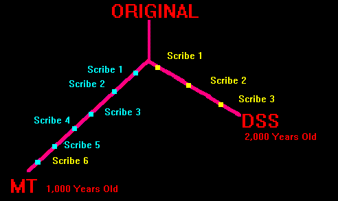 Tree showing the DSS closer to the original