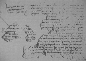 BK 2PHYS02: DAN2 DX %