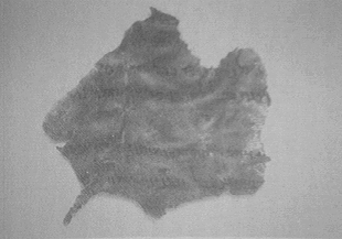 BK DANIEL FRAGMENT, NOT INFRARED